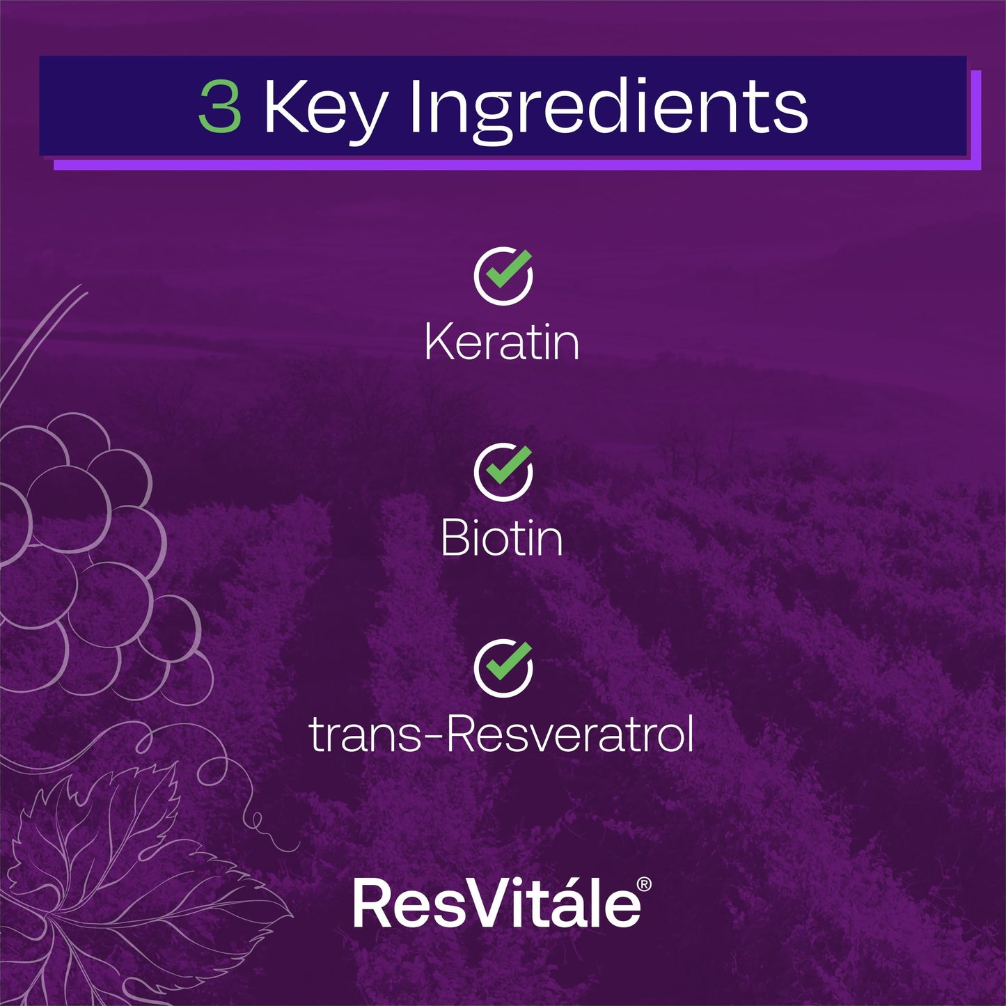 ResVitále Keratin Hair Enhance - Keratin Supplement for Hair Growth - 60 Capsules ResVitaleBuy Supplements Australia