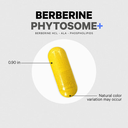 Codeage Berberine Phytosome Supplement - Berberine HCL, Alpha Lipoic Acid, Phospholipid Complex - 2-Month Supply - Berberine HCL - Berberine Hydrochloride - Gluten-Free, Non-GMO - 60 Capsules CodeageBuy Supplements Australia