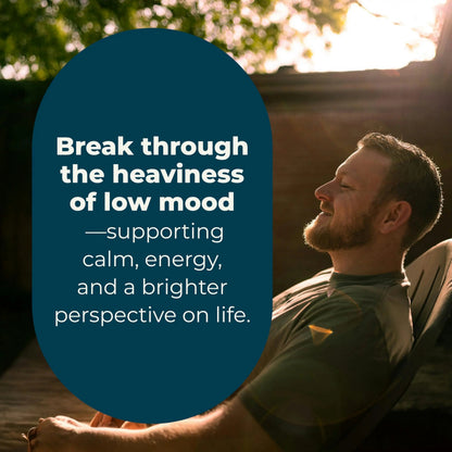 LifeSeasons - Mood Stabili-T - Positive Mood Booster - Enhanced Calmness and Happiness - Relaxed and Balanced Mind LifeSeasonsBuy Supplements Australia