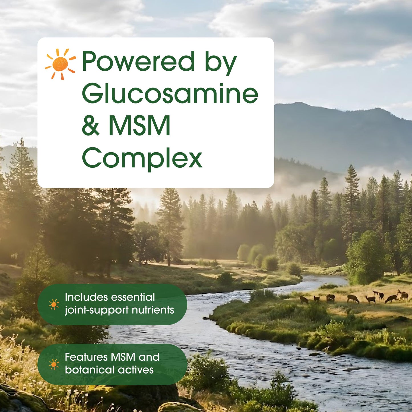 NatureBell Advanced Glucosamine Chondroitin & MSM - 240 Capsules - 10-in-1 Joint Support Complex* - Includes Hyaluronic Acid, Turmeric, Glucosamine, Collagen & More NatureBellBuy Supplements Australia