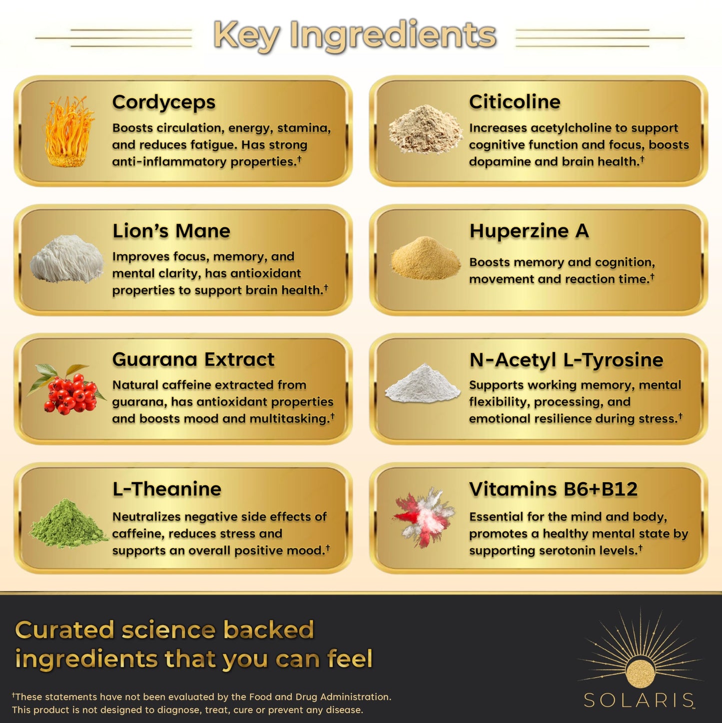 Solaris Mushroom Productivity Wellness Shots | Focus, Circulation, Memory | 4000mg of Cordyceps & Lion's Mane | Citicoline, L-Theanine, Vitamin B6/B12 | Coffee Alternative (6-Pack) Solaris ExtractsBuy Supplements Australia