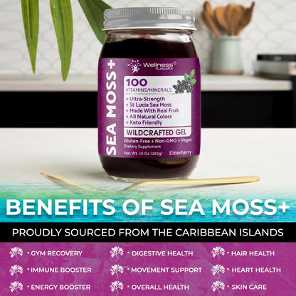 WELLNESS LABSRX Irish Sea Moss Gel Raw - Wildcrafted Superfood Seamoss Gel - Elderberry Flavor, Vitamin and Mineral-Rich from Pristine Caribbean Waters, Immune and Digestive Health Support - 10 oz. WELLNESS LABSRXBuy Supplements Australia