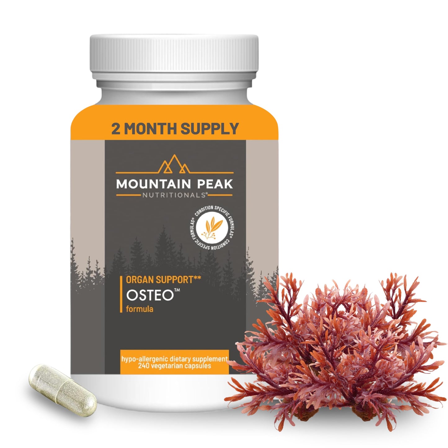 Mountain Peak Nutritionals Osteo Supplement - Organ & Strong Bone Support, Promotes Bone Health - With Vitamins D3, K2, Calcium, and Magnesium - Bone Building & Strengthening (240 Vegetarian Capsules) Mountain Peak NutritionalsBuy Supplements Australia