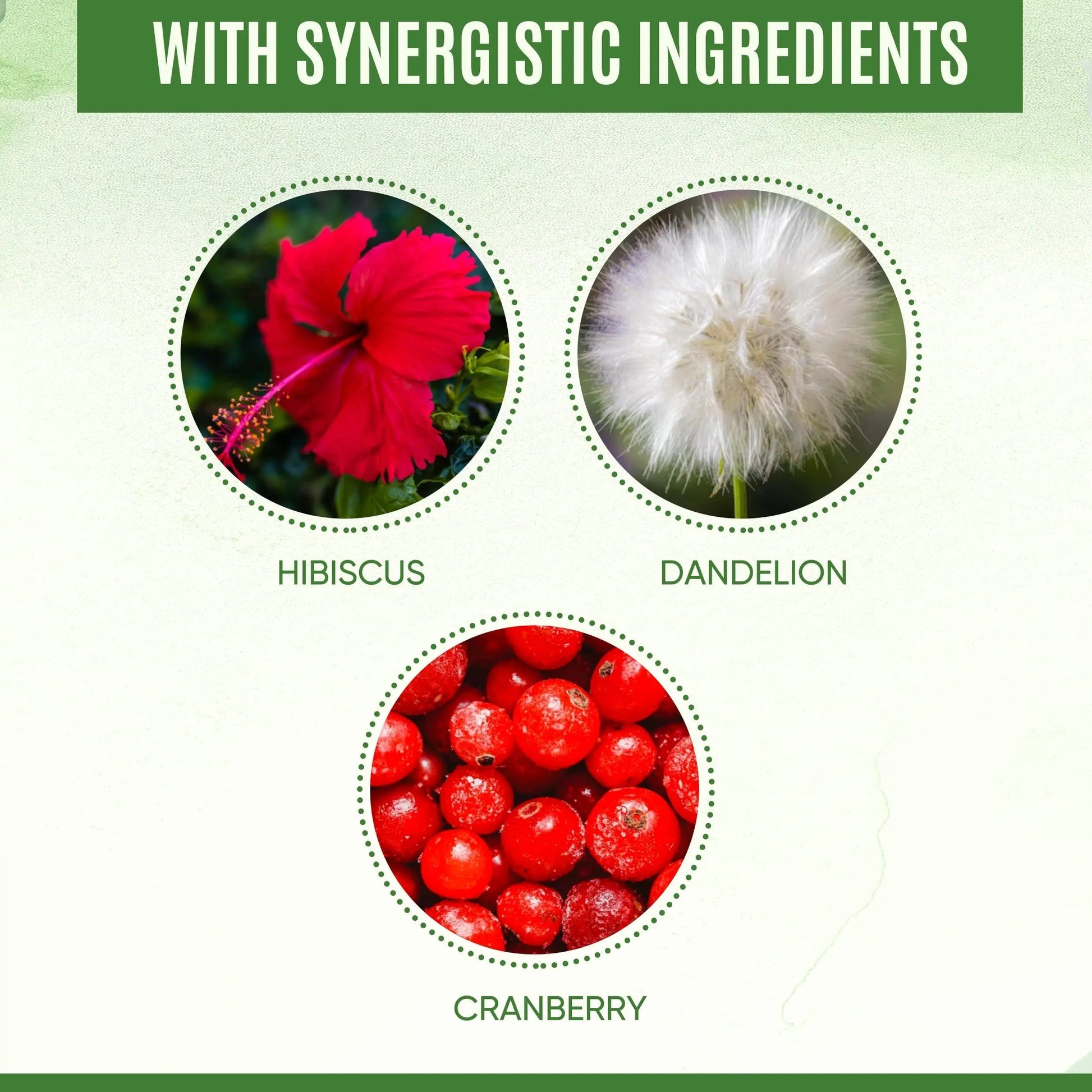 YEVANI 100% Pure D-Mannose Capsules 1000 mg with Cranberry, Hibiscus, and Dandelion Extract, Fast Acting Professional UTI Prevention Formula for Urinary Tract Health and Bladder Support YEVANIBuy Supplements Australia