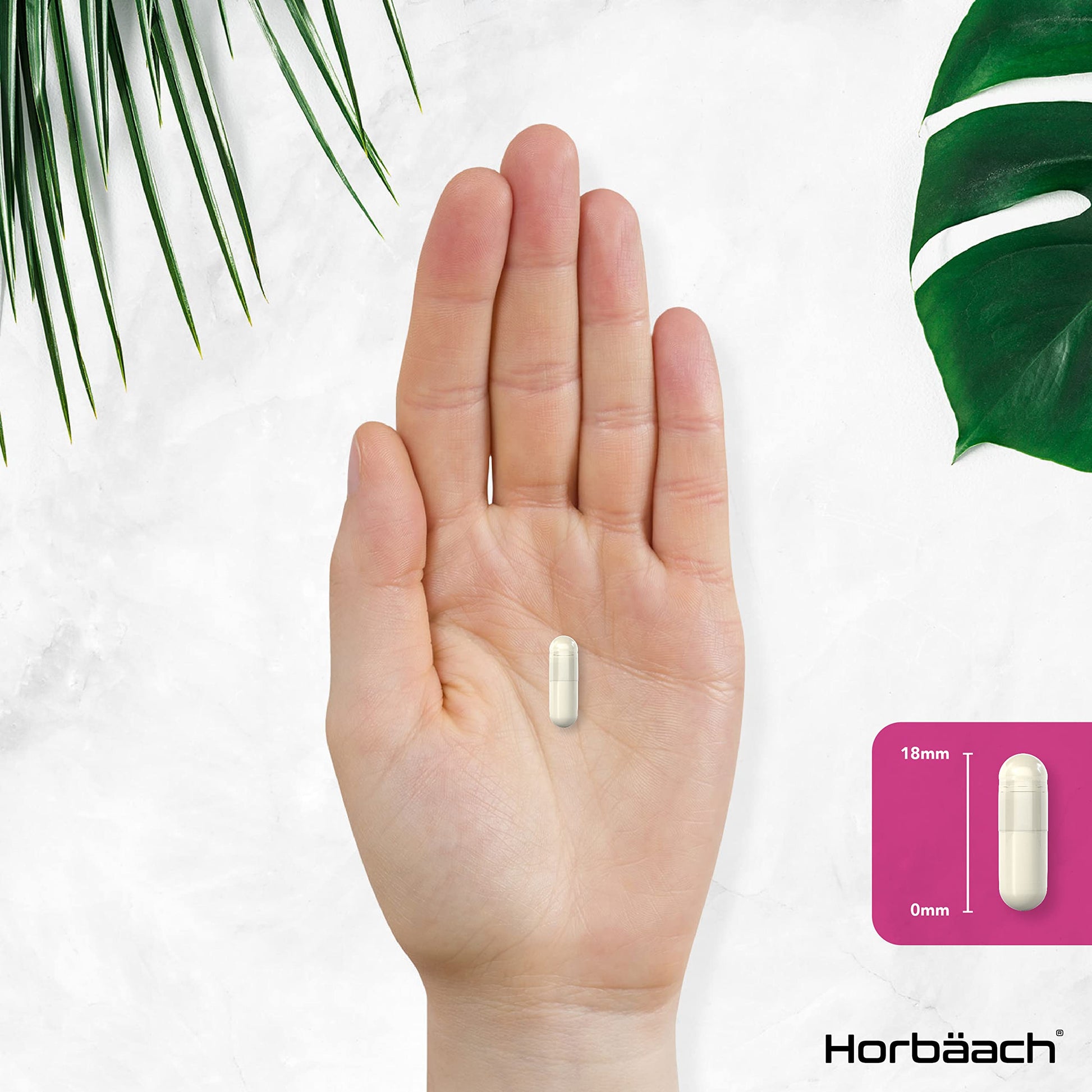 Inositol Supplement for PCOS | 120 Vegan Capsules | Myo-Inositol Complex with Folic Acid HorbäachBuy Supplements Australia