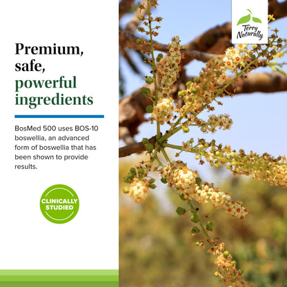 Terry Naturally BosMed 500 Extra Strength - Boswellia Serrata Extract Supplement - Supplement for Healthy Lung Support - Herbal Supplement Formula with High Levels of AKBA - 120 Softgels Terry NaturallyBuy Supplements Australia