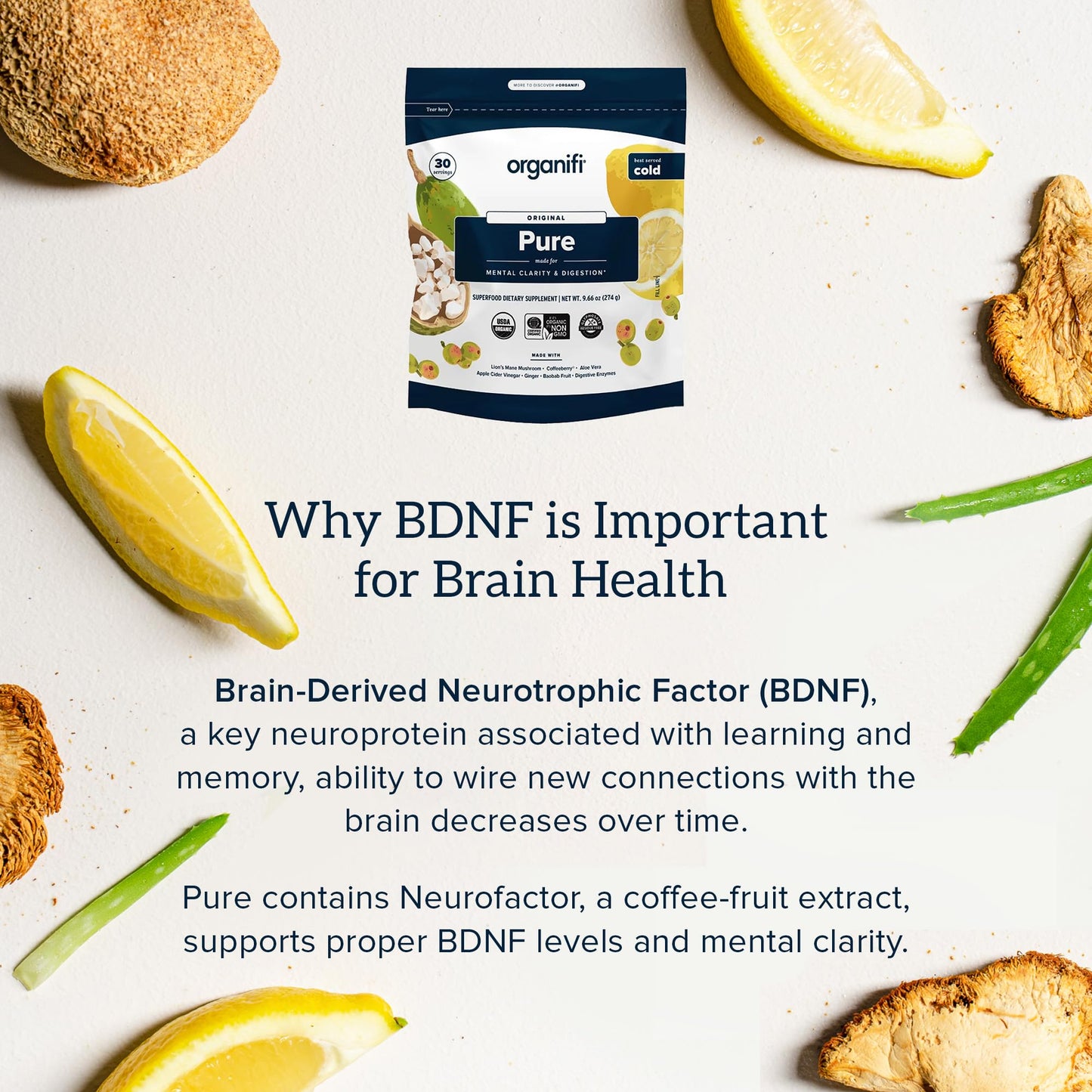 Organifi Pure - Promotes Stimulation in Learning, Memory, Focus, and Clarity - Brain Support with Superfoods - Gluten-Free and Non GMO - Best Served Cold, 30 Servings OrganifiBuy Supplements Australia