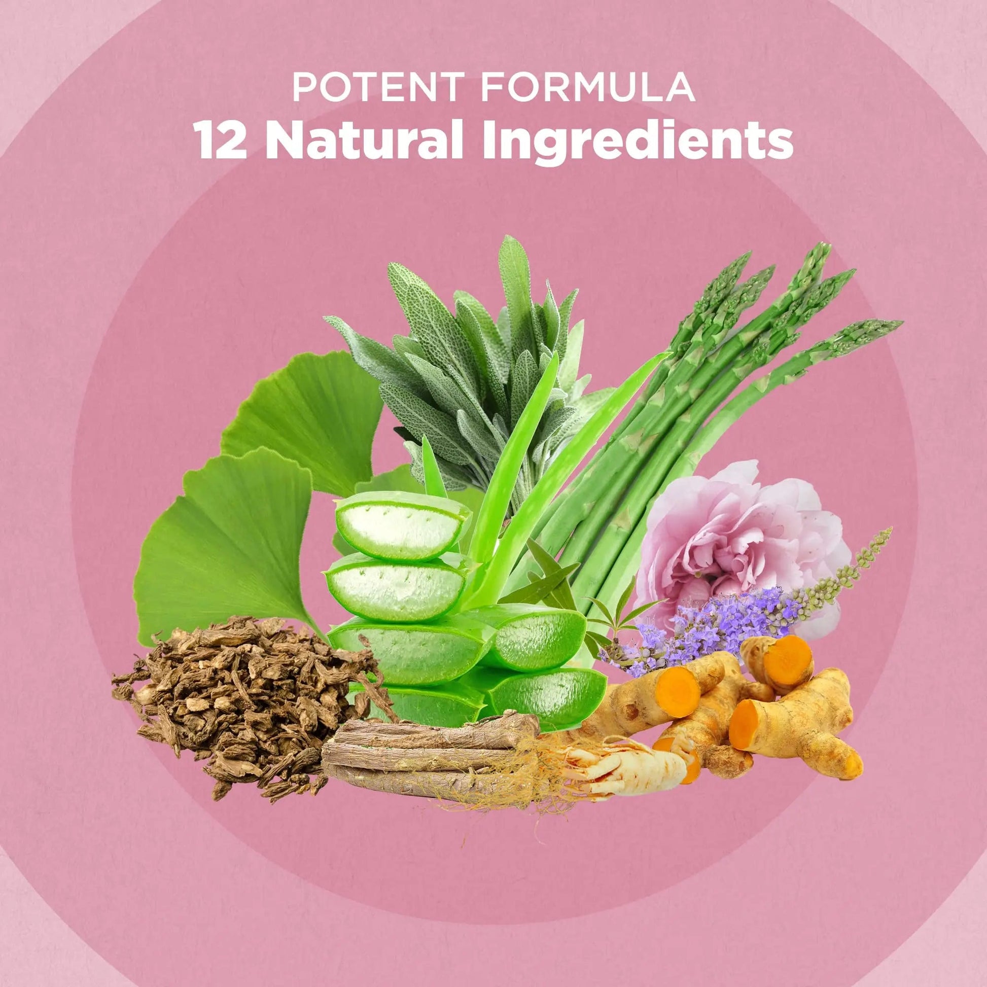 Strength & Spices Hormone Balance 100% Natural Estrogen Supplement – 12 Ingredients w Dong Quai - 60 Vegan UK Made 1000mg Capsules – Fertility and Menstrual Comfort STRENGTH & SPICES100% Natural Vegan Food SupplementsBuy Supplements Australia