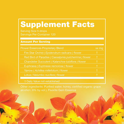LOTUSWEI Inspired Action Flower Essence Elixir – Enhance Focus, Concentration, Mental Clarity & Creativity – Flower Remedy Supplement LOTUSWEIBuy Supplements Australia