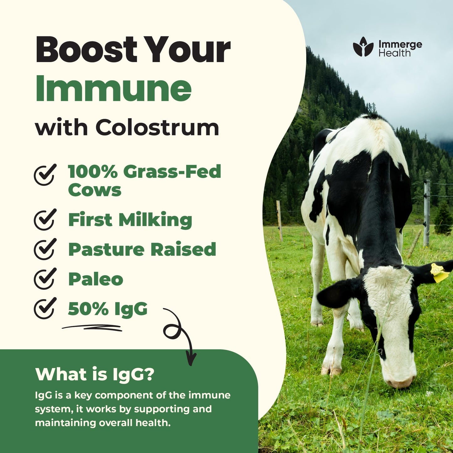 Immerge Health Super Colostrum Powder (60 Servings) – Premium Bovine Colostrum Supplement for Gut Health, Bloating & Immune Support – High IgG, 100% Grass Fed First Milking, Unflavored, Made in USA ImmergeHealth.comBuy Supplements Australia