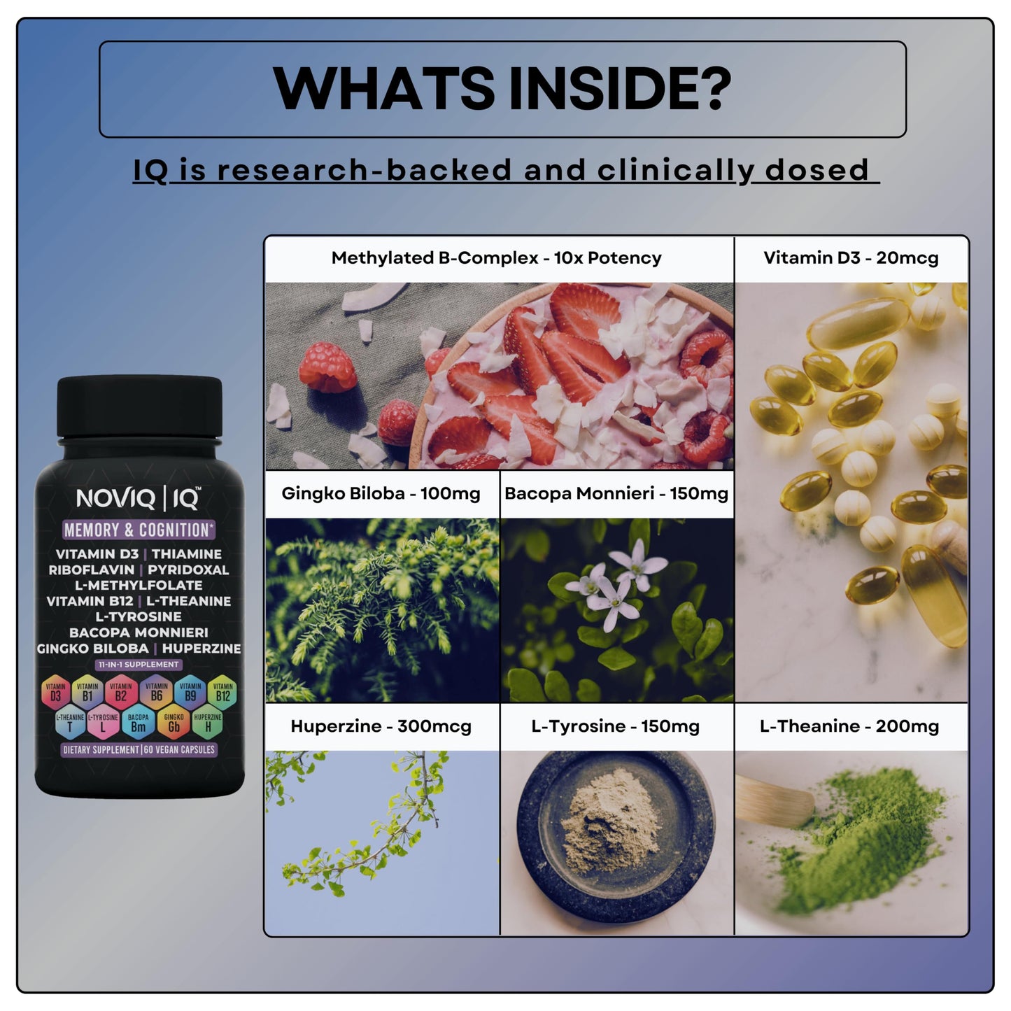 11-in-1 Supplement: Supports Memory & Cognition - 100mg Ginkgo 150mg Bacopa 300mcg Huperzine 200mg L-Theanine 150mg L-Tyrosine & Bioactive B-Complex