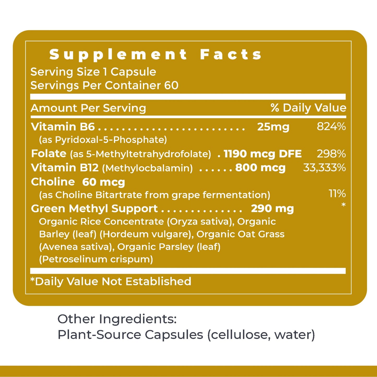 Premier Research Labs Phyto Methylate - B Vitamin Supplement - Supports Methylation, Detox, Brain & Heart Health - 5-MTHF & P5P - 60 Plant-Source Capsules Premier Research LabsBuy Supplements Australia