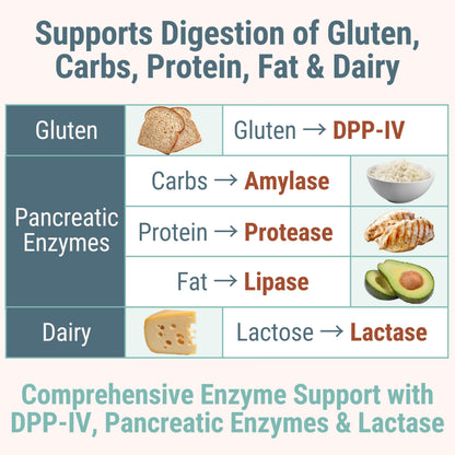 Gluten & Lactase Digestive Enzyme Gummies – Lactase Pancreatic Enzymes with DPP‑IV Lipase Gluco‑Amylase Lactase, Drops Chewables Capsules Pills Powder Supplement Alt, Pancreatic Support, for Kids SHIZAMBuy Supplements Australia