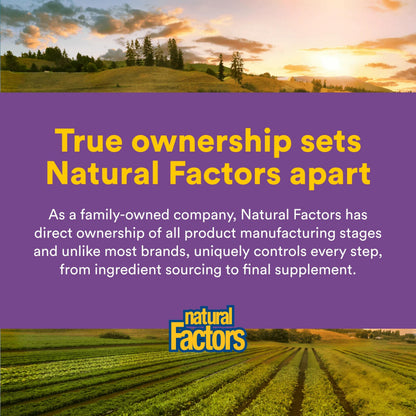 Natural Factors Pharma GABA - Dietary Supplement Supports Calm Sleep & Sleep Quality - Natural, Fast-Working Supplement Aids Focus & Brain Health - 60 Chewable Tablets (60 Servings) Natural FactorsBuy Supplements Australia