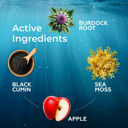 Irish Sea Moss Liquid Drops - 3000mg Formula - with Bladderwrack, Burdock Root & Black Cumin Seed - Liquid Supplement - Apple Flavor - 2 Fl Oz (60ml) TrueSeaMossBuy Supplements Australia