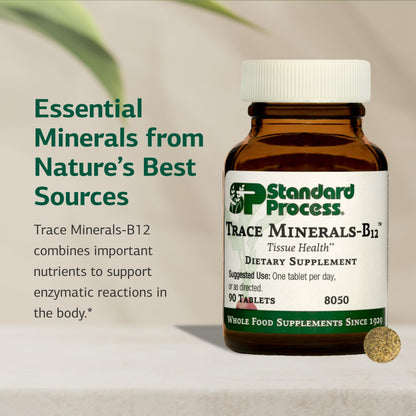 Standard Process Trace Minerals-B12 - Thyroid & Cell Functioning Support with Iodine, Zinc & Copper - Cartilage & Bone Health Aid - Non-Dairy & Non-Soy - 90 Tablets (90 Servings) Standard Process Inc.Buy Supplements Australia