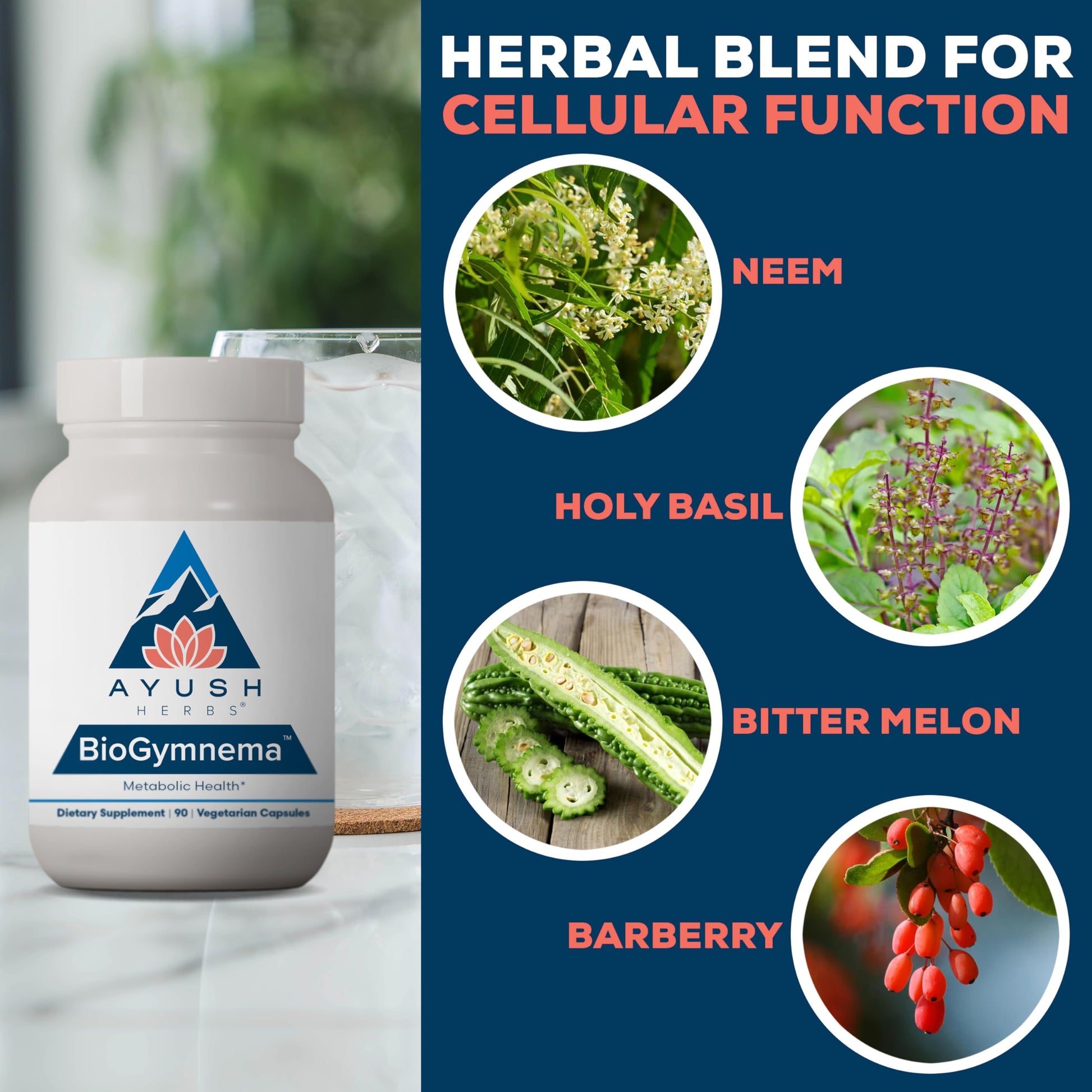 Ayush Herbs BioGymnema - Metabolic Vitamin & Herb Blend, Metabolic Health Supplement for Women & Men with Biotin, Berberine, Bitter Melon & Gymnema, Nutrient Support - 90 Servings Ayush HerbsBuy Supplements Australia