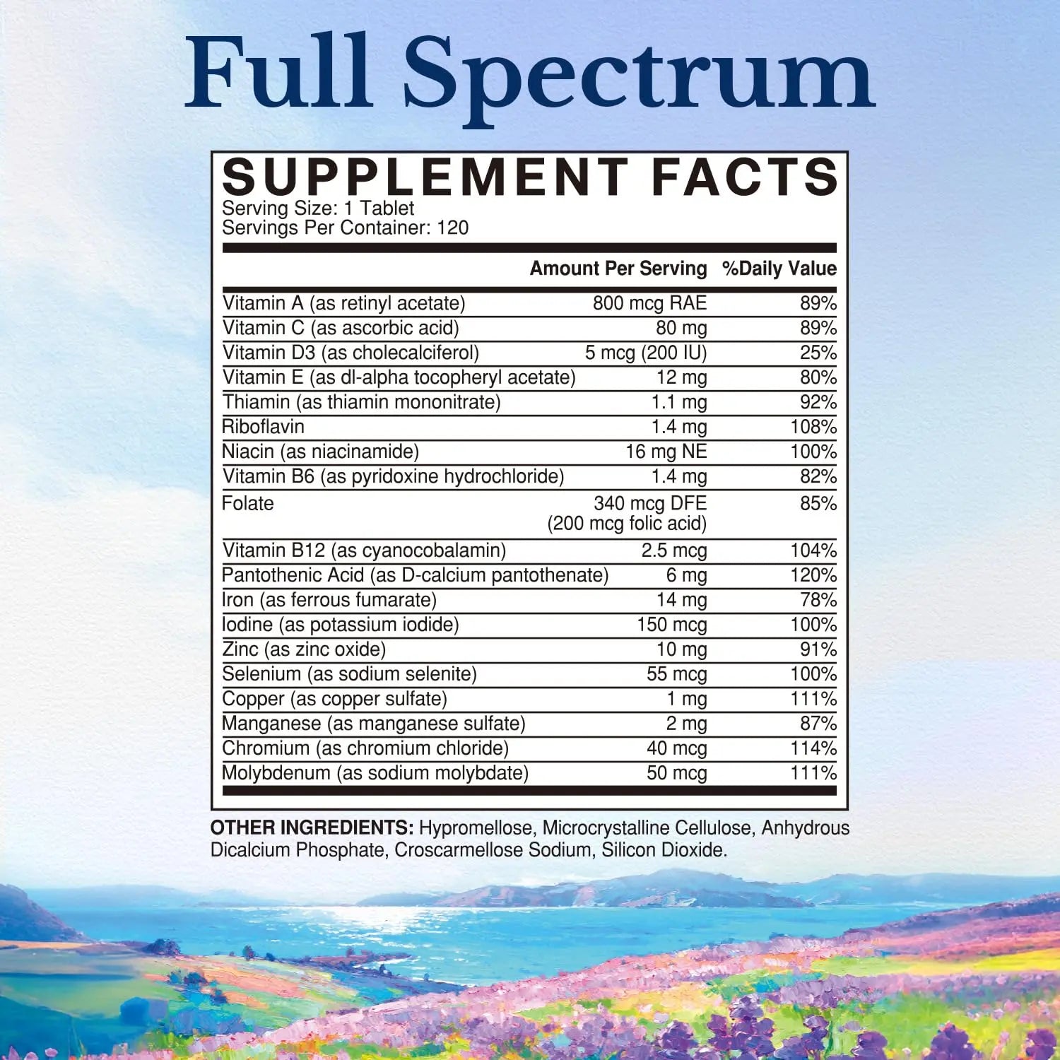 Vitalitown Multivitamin for Women & Men, with Iron, Zinc, Vitamin D3, A, C, B, E, 19 Key Nutrients, One Per Day Vitalitown