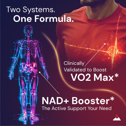 Novex Biotech Oxydrene NAD+ Enhancer - Natural Supplement Promoting Metabolism and Cardiovascular Support for Men and Women - (60 Capsules) Novex BiotechBuy Supplements Australia