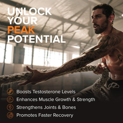 STRIVLABS Peak Potential 12-in-1 Testosterone Support for Men – Natural Strength, Energy & Muscle Builder with Tongkat Ali, Ashwagandha & Fenugreek – 90 Capsules STRIVLABSBuy Supplements Australia