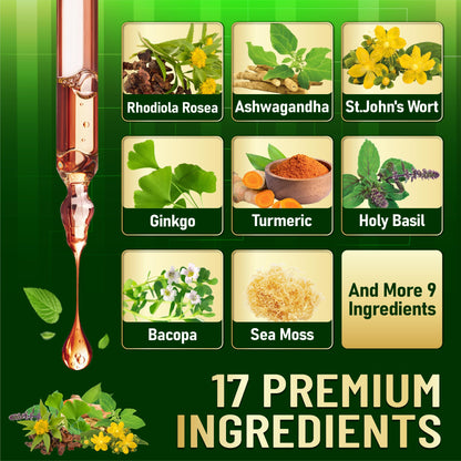 17in1 Rhodiola Rosea Liquid Supplement with Ashwagandha, Magnesium Glycine, L-Theanine, Vitamin C, Vitamin D3, Vitamin K2, Ginkgo, Turmeric, Holy Basil and More - 1 FL Oz - 60 Day Supply WELBUDABuy Supplements Australia