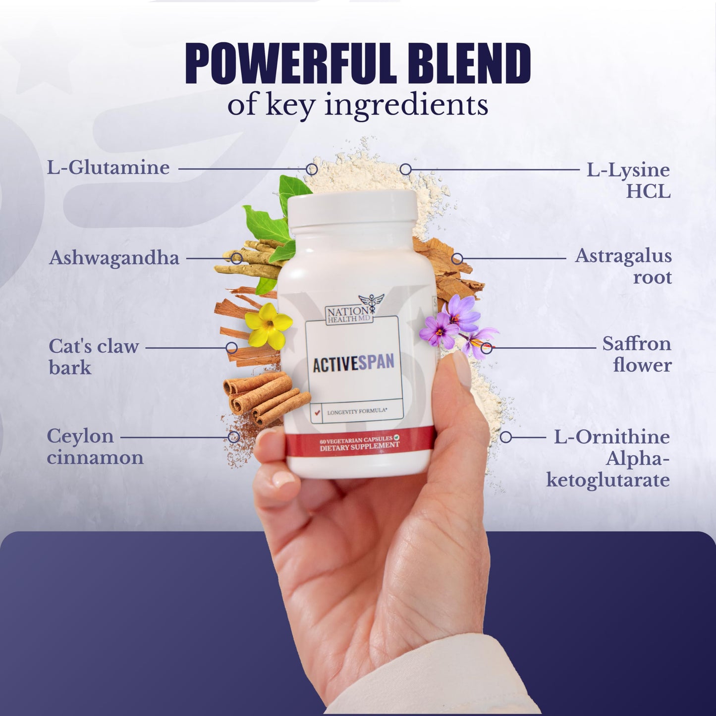 NATION HEALTH MD ActiveSpan - Longevity Supplement for Anti Aging - with Ashwagandha Extract, Astragalus, Cat's Claw, Ceylon Cinnamon, L-Lysine, L-Glutamine & More - 60 Capsules NATION HEALTH MDBuy Supplements Australia