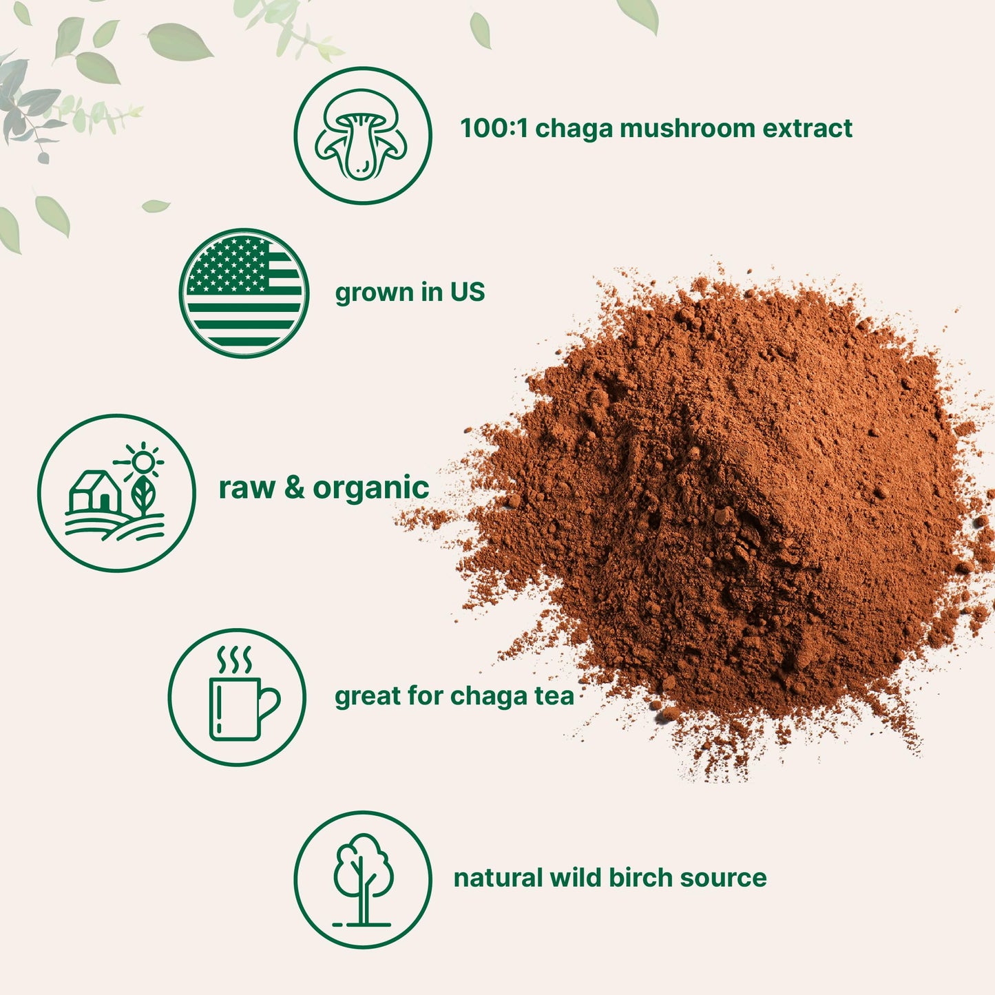 Micro Ingredients Organic Chaga Mushroom Extract 100:1 Powder, 10 Ounce Micro IngredientsBuy Supplements Australia