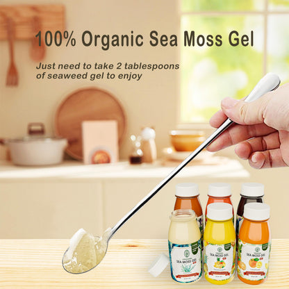 USMIRALAB Wildcrafted Sea Moss Gel for Purists： 6-Flavor Ritual Set (36oz) with Antioxidant Ocean Minerals | Pure Superfood Base Vegan USMIRALABBuy Supplements Australia