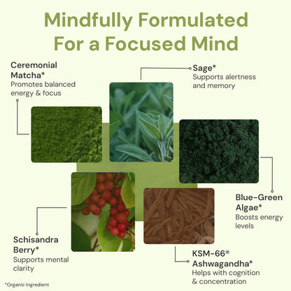 ION* Intelligence of Nature Focused Mind Nootropic Powder Drink Mix - Brain Boost Nootropic Drink with Matcha for Memory, Focus & Relaxation, Brain Supplement for Men & Women, Adults - 20 Packets ION* Intelligence of NatureBuy Supplements Australia