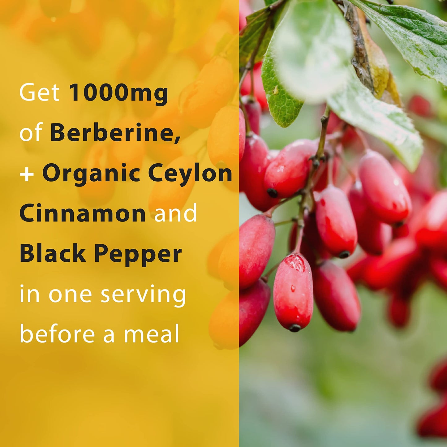 Thomas' all-natural Remedies Berberine 500mg (1000mg Per Serving)- 120 Vegan Capsules Thomas' all-natural RemediesBuy Supplements Australia