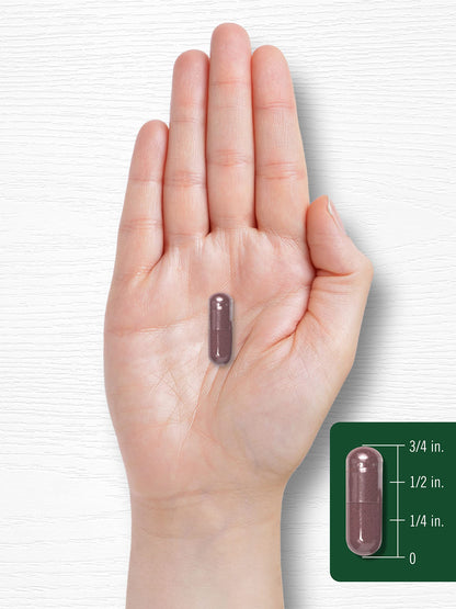 Carlyle Grape Seed Extract 4,000mg | 120 Quick Release Capsules | Standardized Extract CarlyleBuy Supplements Australia