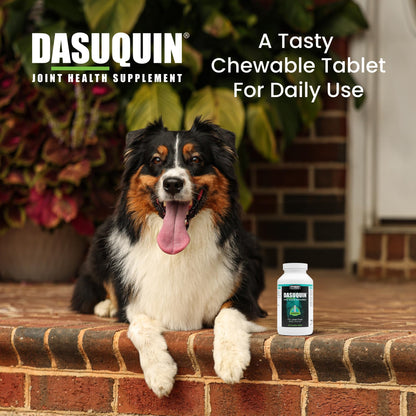 Nutramax Dasuquin for Large Dogs, Joint Health Supplement, Contains Glucosamine for Dogs, Plus Chondroitin, ASU and More, Supports Healthy Joints, Chewable Tablets, 150 Count Nutramax LaboratoriesBuy Supplements Australia