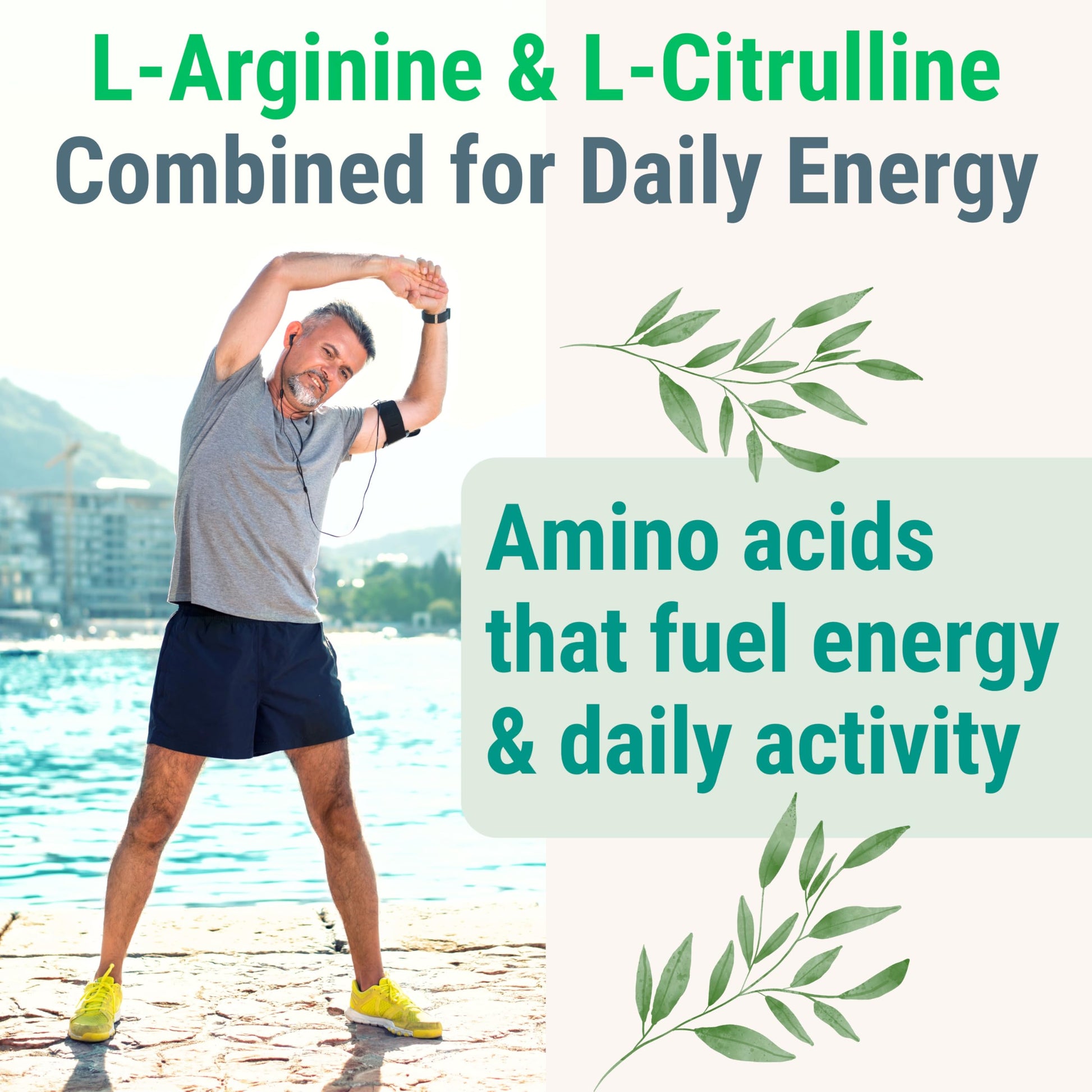 Pine Bark Extract L-Arginine L-Citrulline Beetroot Probiotic Fiber Methylated B Complex Zinc Gummies for Women Men Adults Kids w. Chicory Root Inulin 5-MTHF B6 P5P Powder Capsule Pill Supplement Alt SHIZAMBuy Supplements Australia