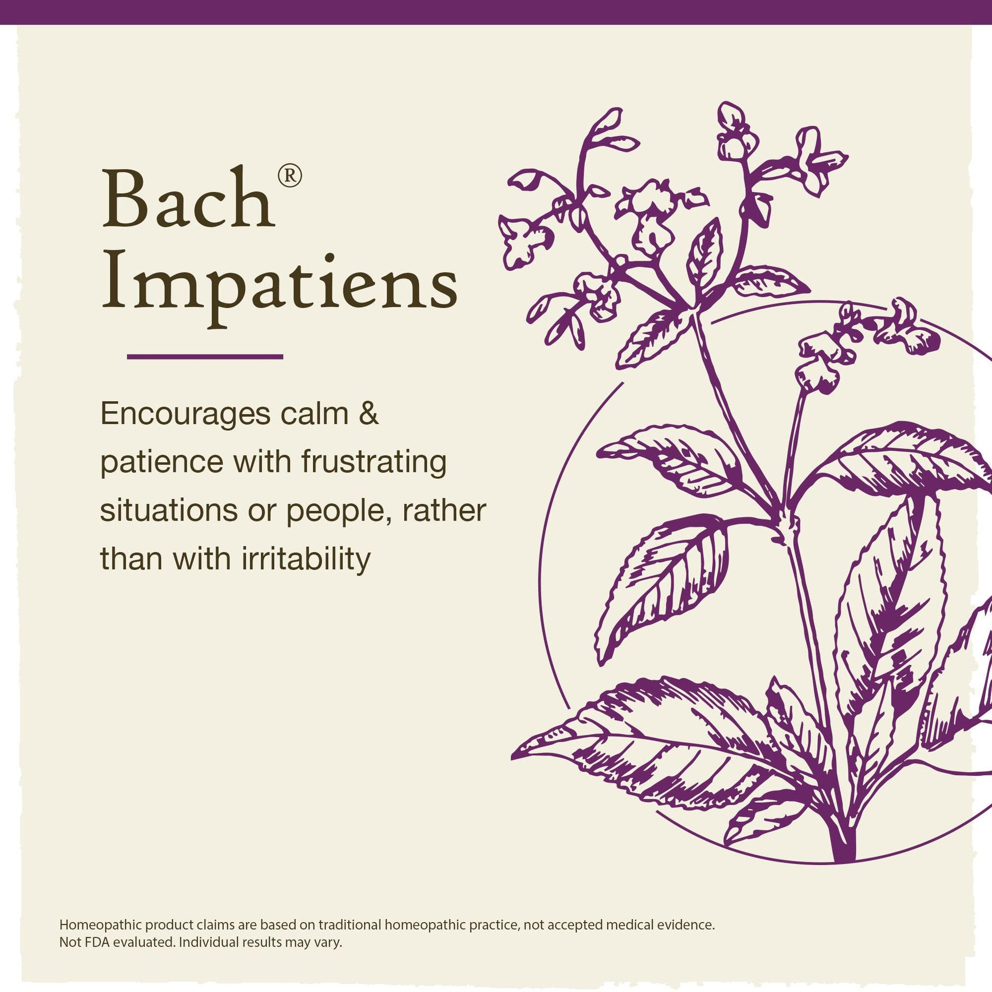 Bach Original Flower Remedies, Impatiens for Patience (Non-Alcohol Formula), Natural Homeopathic BachBuy Supplements Australia