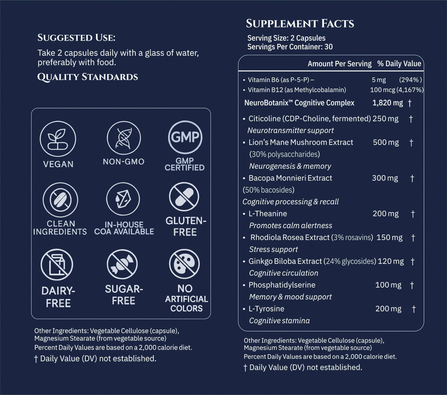 Xenivra Synaptix™ Natural Nootropic Brain Supplement | Herbal Memory & Focus Pills with Citicoline, L-Theanine, Lion’s Mane, Bacopa & Rhodiola | Mental Clarity & Brain Fog Support | 60 Vegan Capsules XENIVRA NATURE, AMPLIFIED BY SCIENCEBuy Supplements Australia