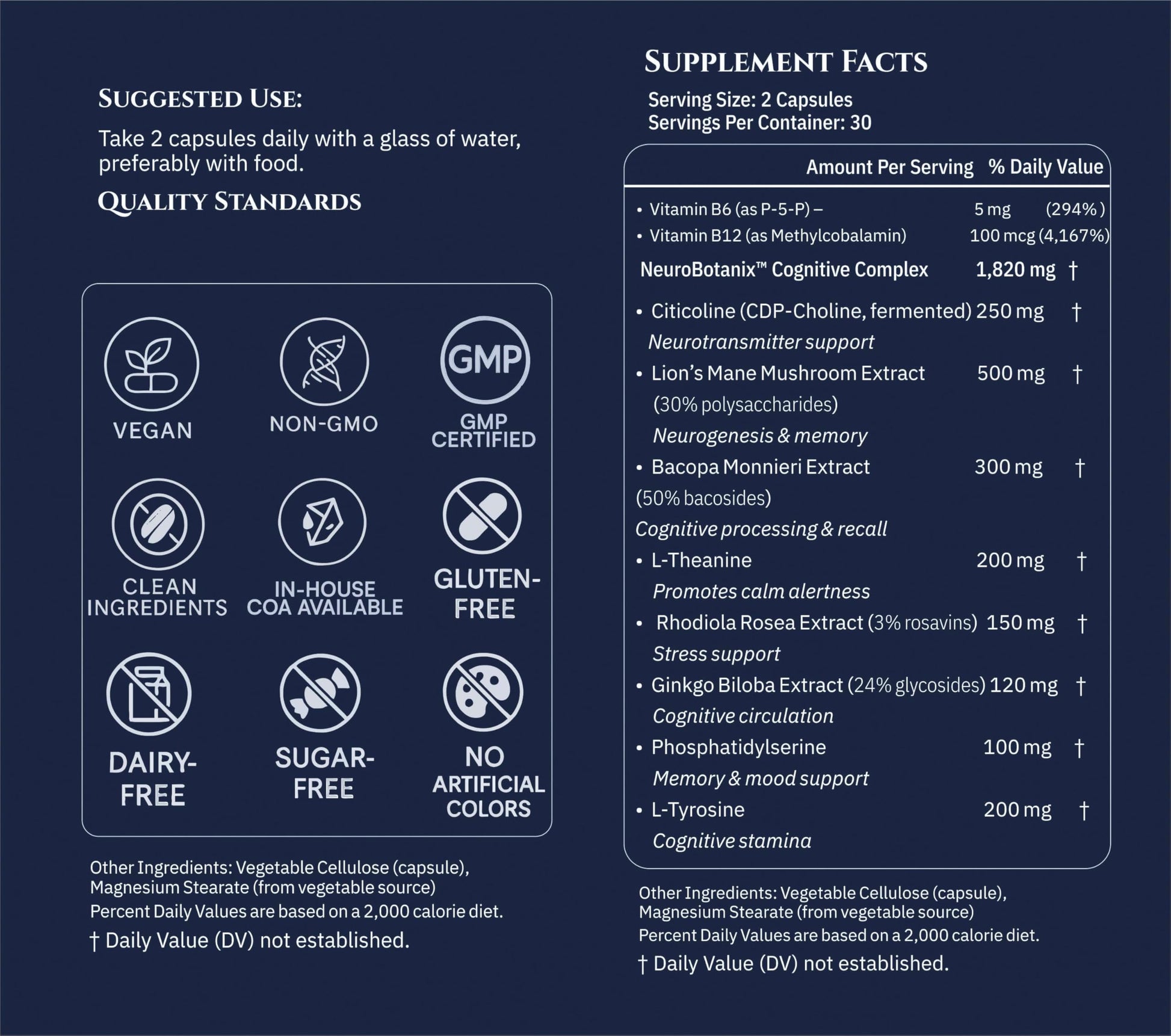 Xenivra Synaptix™ Natural Nootropic Brain Supplement | Herbal Memory & Focus Pills with Citicoline, L-Theanine, Lion’s Mane, Bacopa & Rhodiola | Mental Clarity & Brain Fog Support | 60 Vegan Capsules XENIVRA NATURE, AMPLIFIED BY SCIENCEBuy Supplements Australia