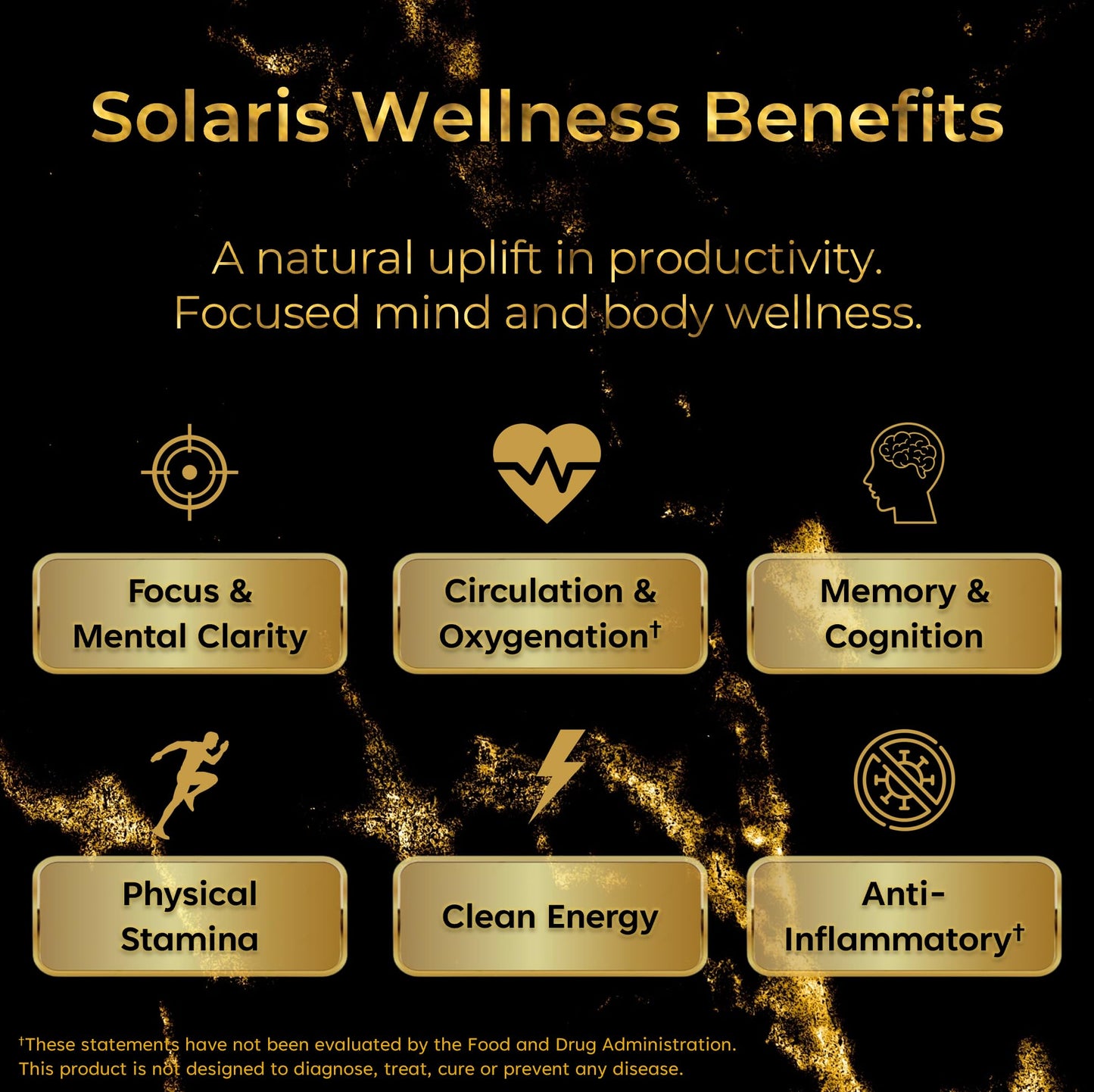 Solaris Mushroom Productivity Wellness Shots | Focus, Circulation, Memory | 4000mg of Cordyceps & Lion's Mane | Citicoline, L-Theanine, Vitamin B6/B12 | Coffee Alternative (6-Pack) Solaris ExtractsBuy Supplements Australia