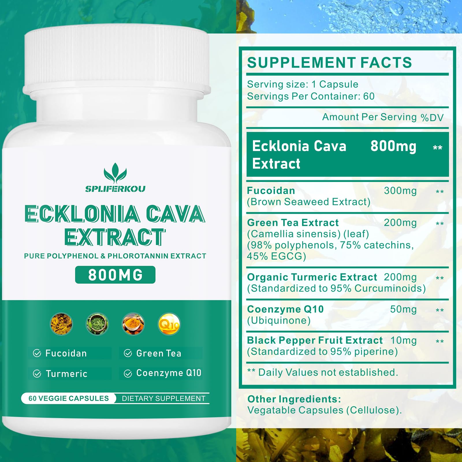 Spliferikou Ecklonia Cava Extract, 800mg, 60 Veggie Capsules with Fucoidan, Green Tea, Turmeric, CoQ10, Dietary Supplement SpliferkouBuy Supplements Australia