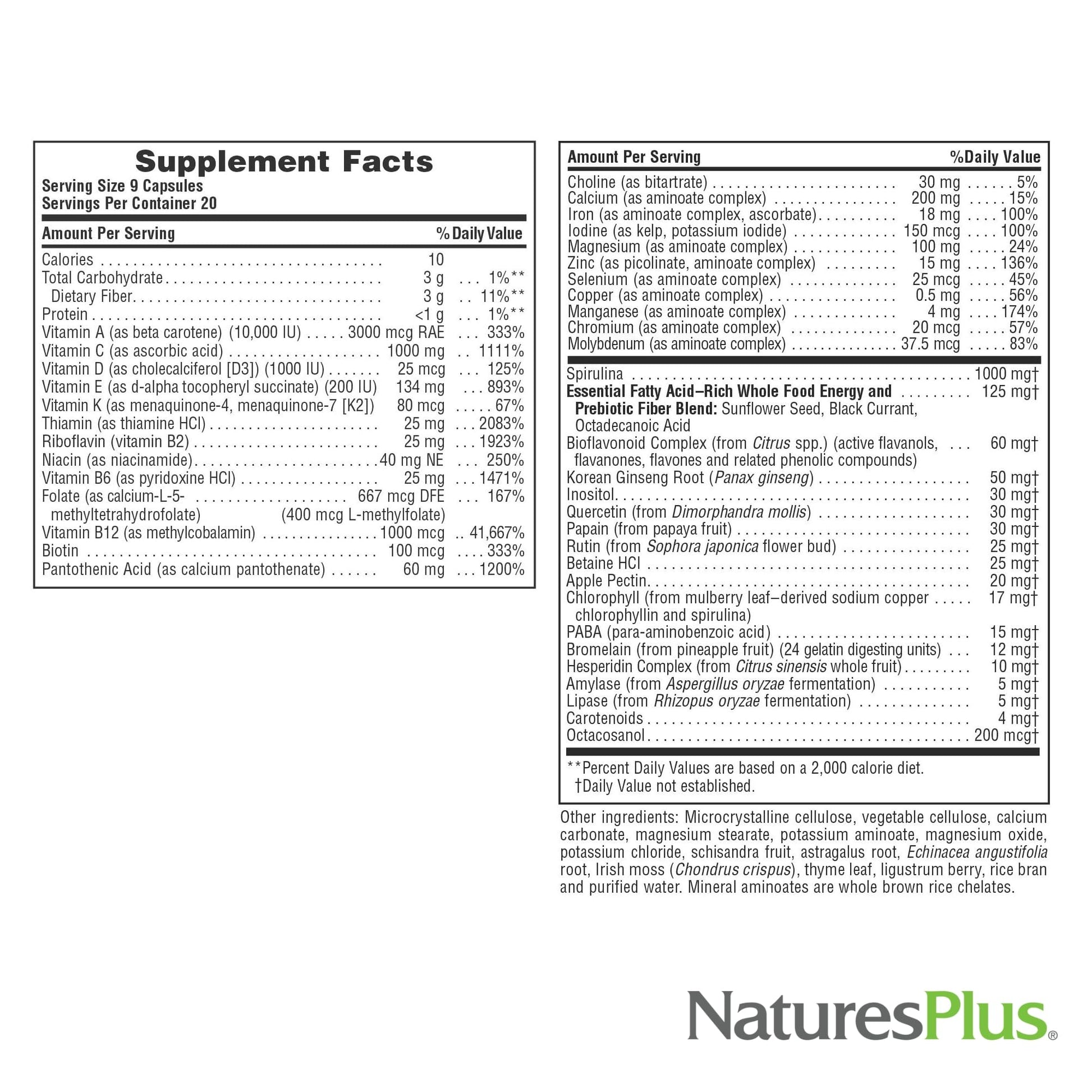 NaturesPlus Source of Life - 180 Capsules - Multivitamin & Mineral Supplement - Supports Natural Energy & Overall Well-Being - Gluten Free, Vegetarian - 20 Servings NaturesPlusBuy Supplements Australia