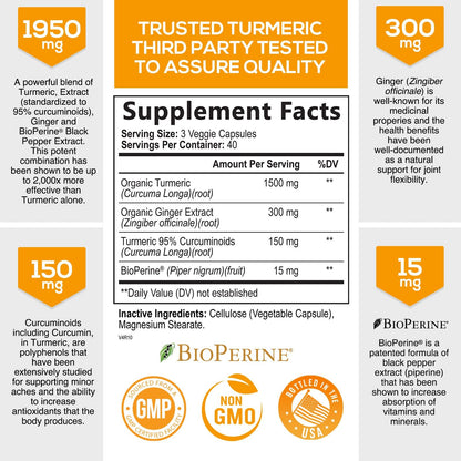 Turmeric Curcumin with BioPerine & Ginger 95% Standardized Curcuminoids