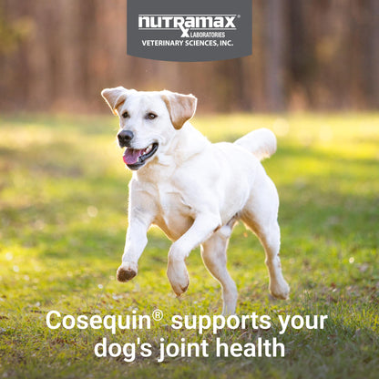 Nutramax Cosequin for Dogs Joint Health Supplement, Contains Glucosamine for Dogs, Plus Chondroitin, MSM and HA, Supports Healthy Joints, Chewable Tablets, 75 Count Nutramax LaboratoriesBuy Supplements Australia