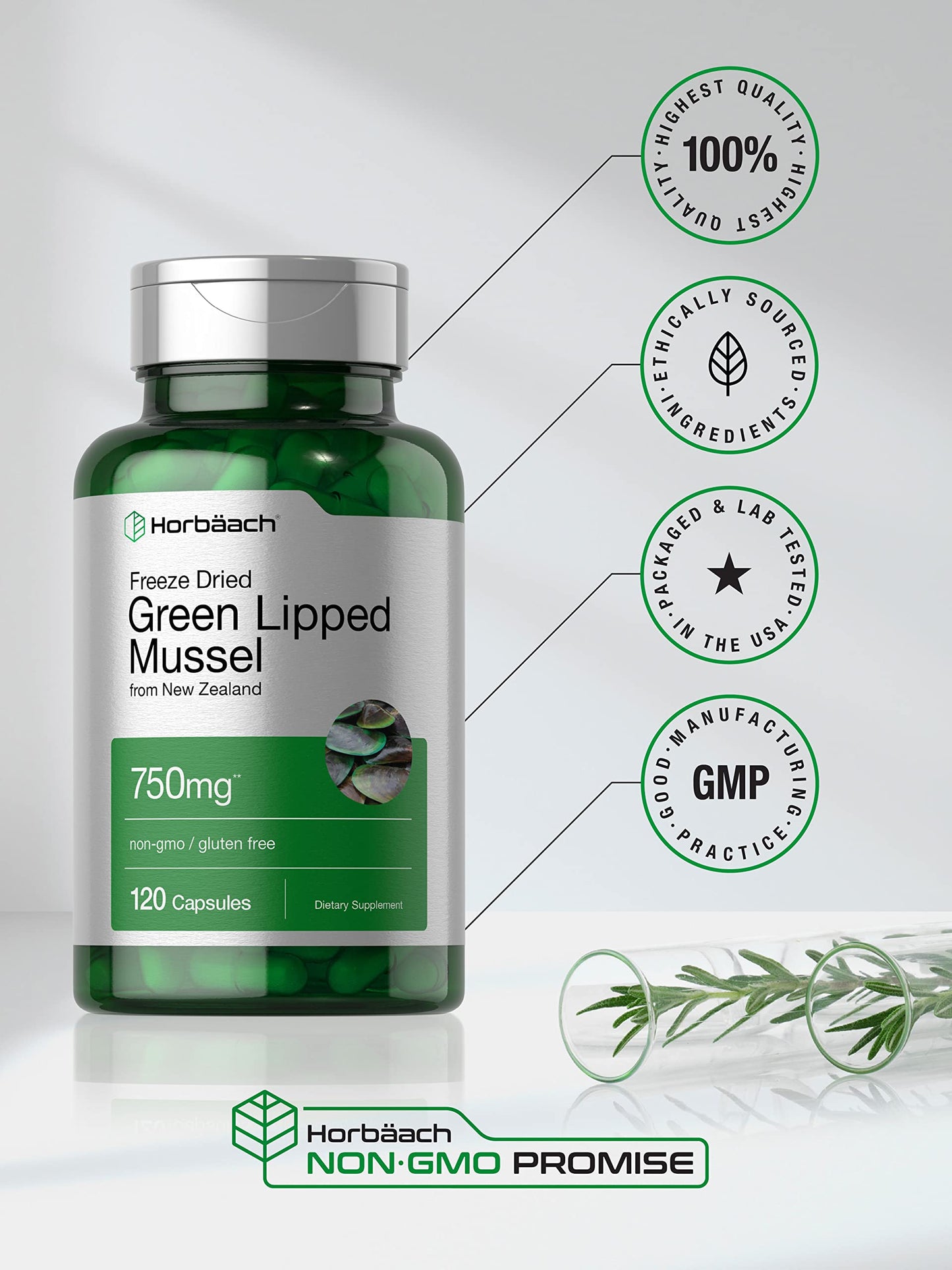 Green Lipped Mussel | 750 mg | 120 Capsules | from New Zealand | Premium Freeze Dried HorbäachBuy Supplements Australia