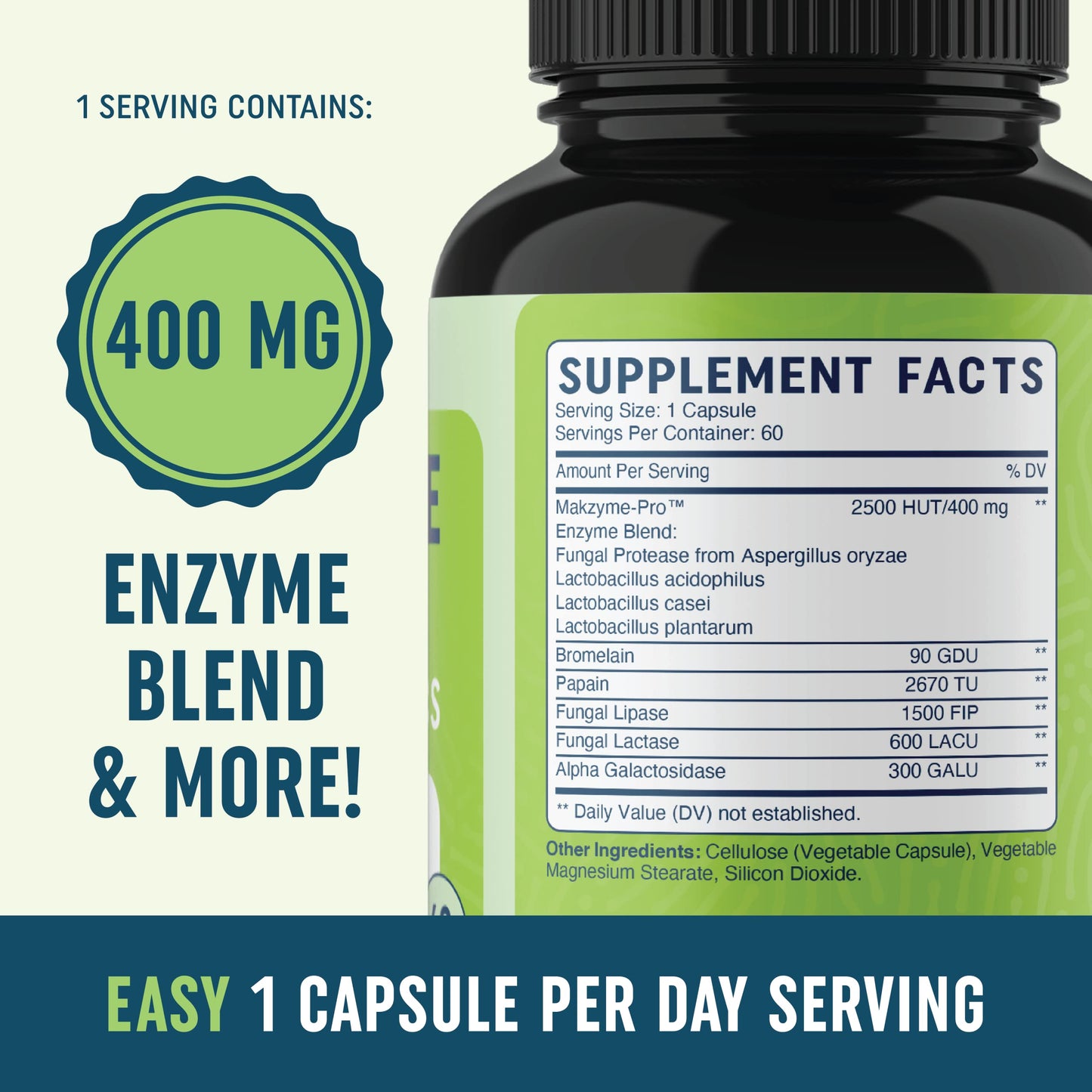 Digestive Enzymes with Probiotics for Bloating Relief & Digestive Health MAV NUTRITIONBuy Supplements Australia