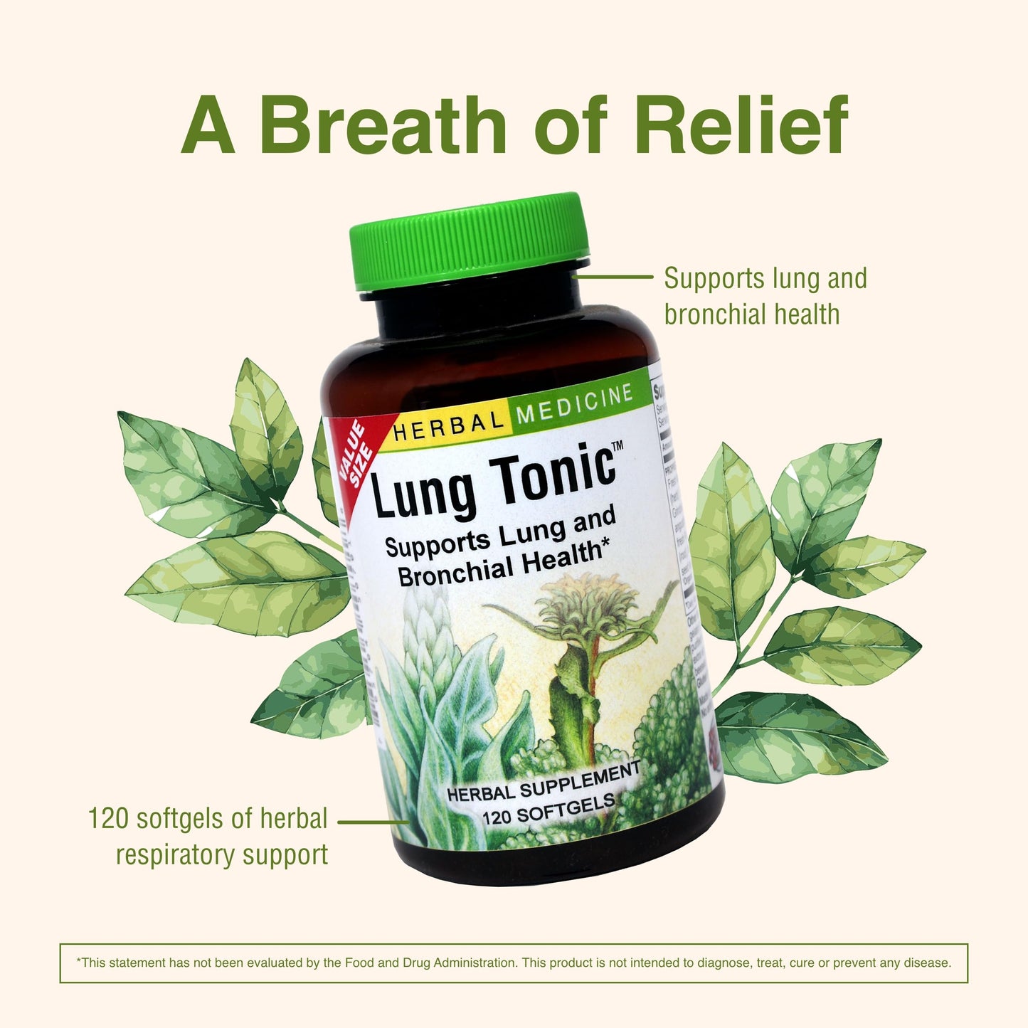 Herbs Etc. Lung Tonic - Lung Supplement for Bronchial Support - Healthy Breathing Support with Mullein, Horehound & Grindelia - 120 Softgels Herbs Etc.Buy Supplements Australia