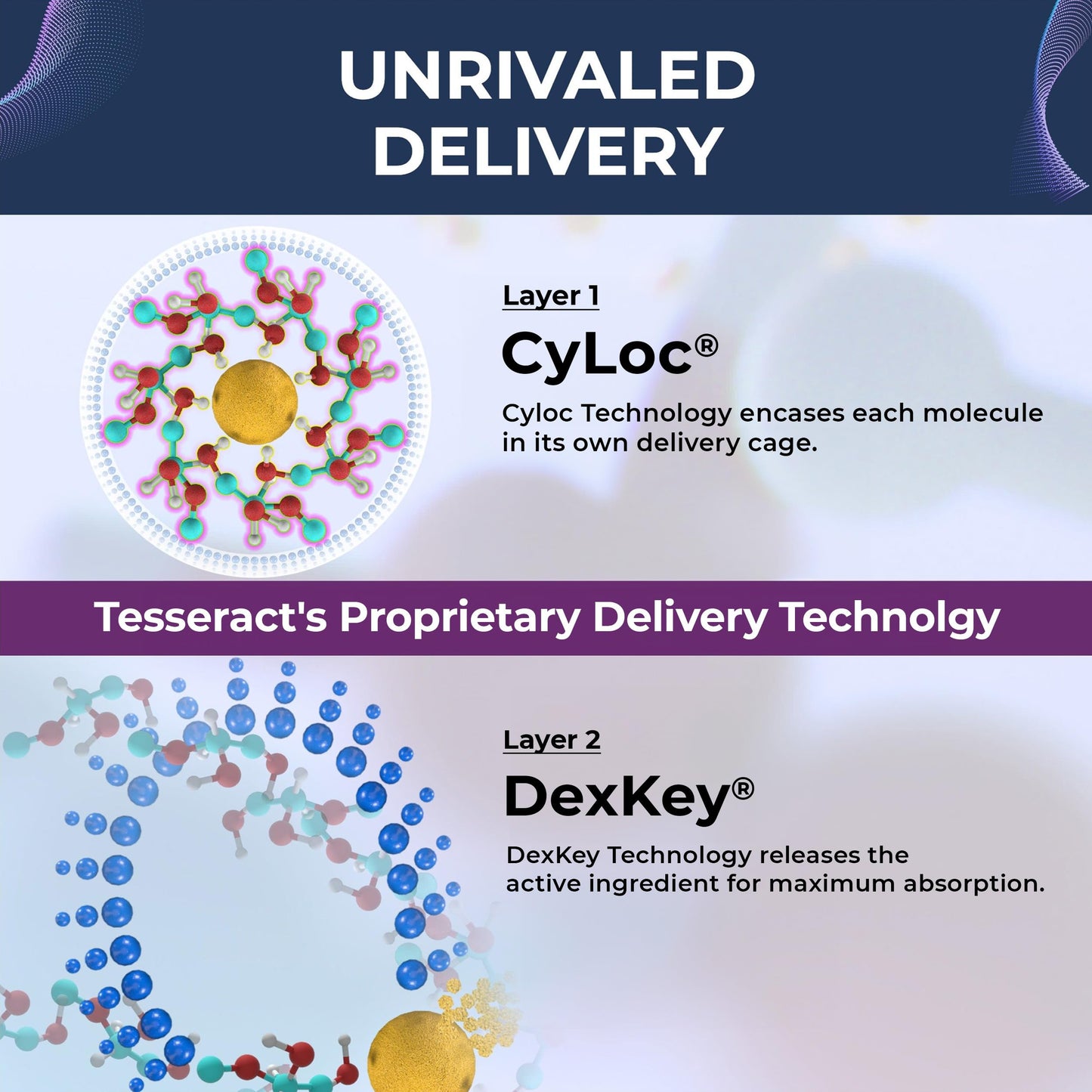 Tesseract Medical Research ProButyrate Gut Health Supplement, Butyric Acid Complex & TetraCumin SR Joint Support Supplement, Sustained Release Tesseract Medical ResearchBuy Supplements Australia