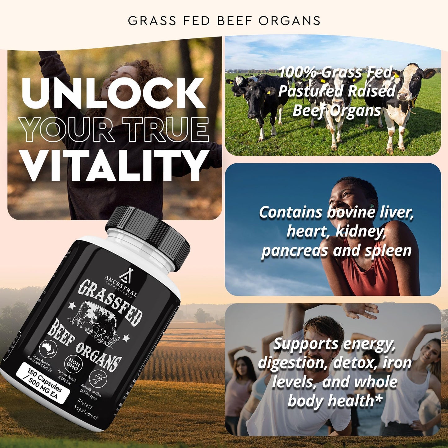 Ancestral Supplements Grass Fed Beef Organ Supplement, Supports Whole Body Wellness with Proprietary Blend of Liver, Heart, Kidney, Pancreas, Spleen, Freeze-Dried Beef, Non-GMO, 180 Capsules Ancestral SupplementsBuy Supplements Australia