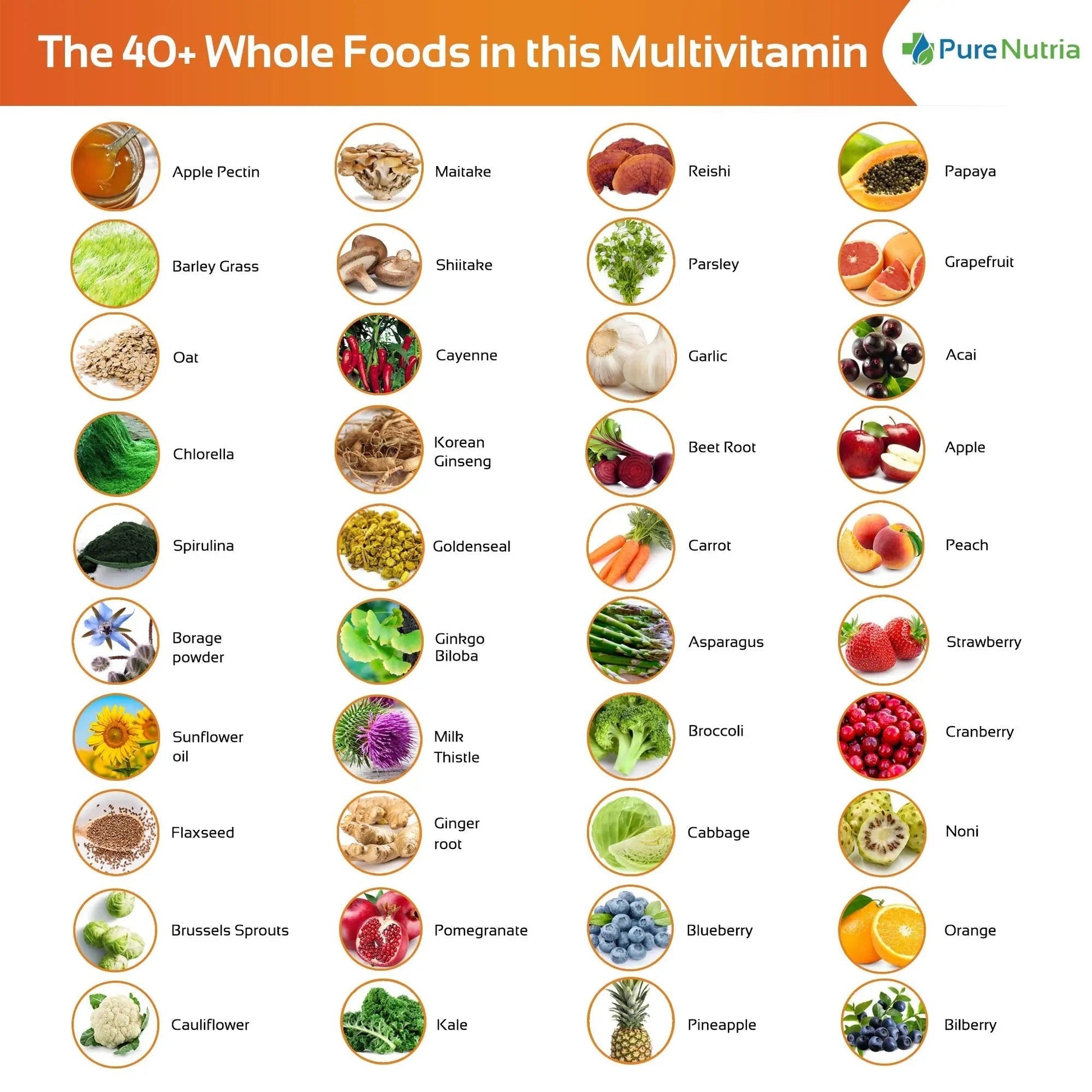 Whole Food MultiVitamin and Minerals with Probiotic Enzymes - 120 Multivitamins for Women and Men - Packed with WholeFood and Herbal Ingredients PureNutria