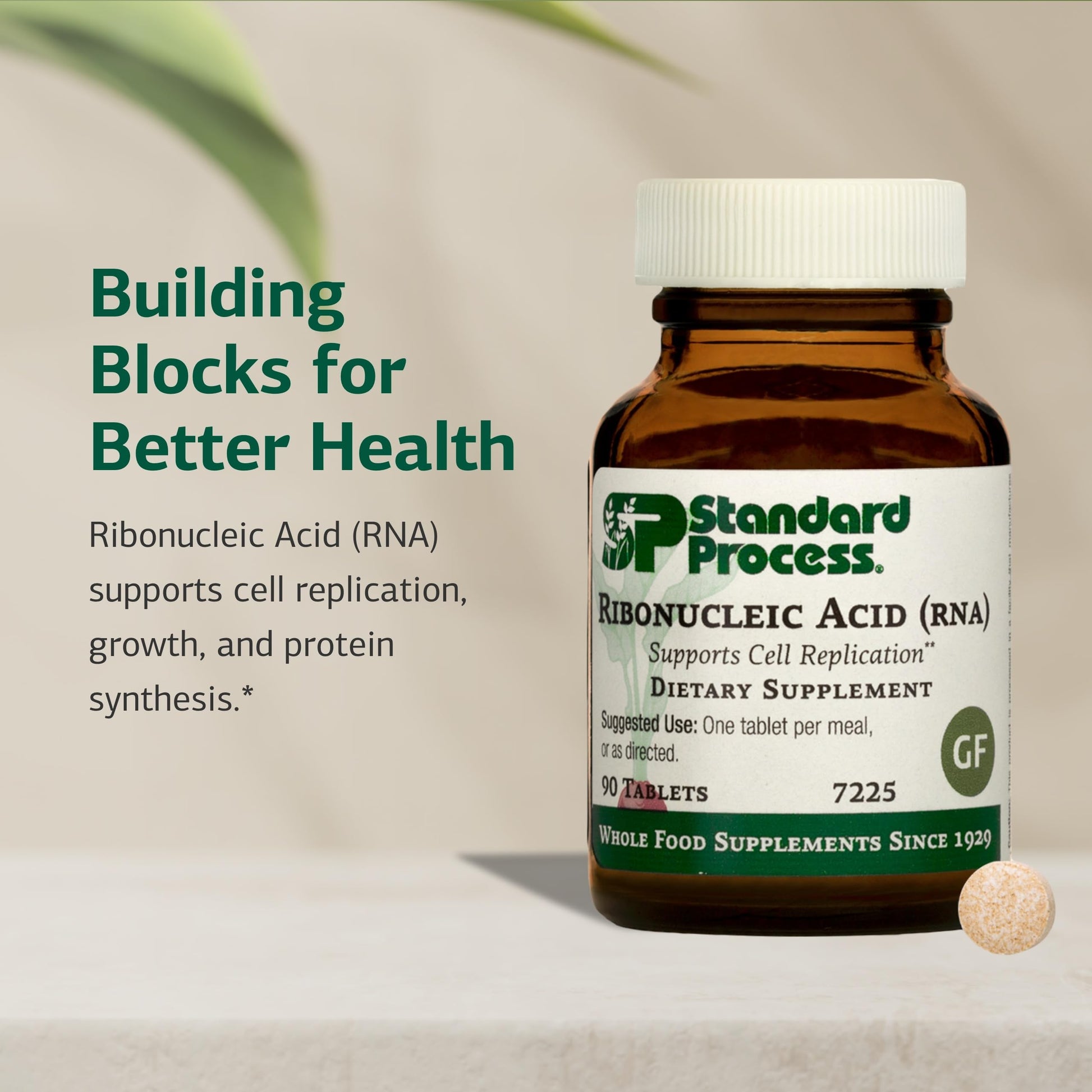 Standard Process Ribonucleic Acid RNA - Cell Development Support - Aids Protein Synthesis - Vegan, Gluten-Free, Non-Soy, & Non-Grain - 90 Tablets (90 Servings) Standard Process Inc.Buy Supplements Australia