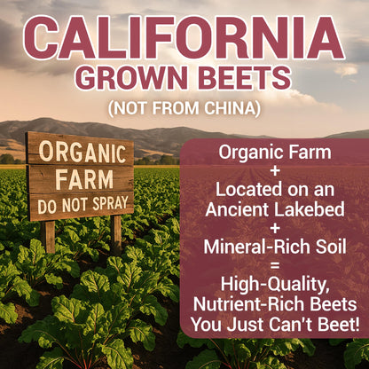 Dr. Berg Raw Organic Beet Powder from Real Earth-Grown Beets – USDA Certified Organic Beet Root Powder to Support Nitric Oxide Levels, Energy