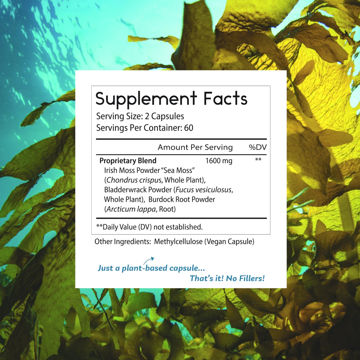 Thomas' all-natural Remedies Irish Sea Moss Capsules, Sea Moss with Bladderwrack & Burdock Root Organic for Gut Health, Digestion, Energy & Immune Support, 120 Seamoss Pills Thomas' all-natural RemediesBuy Supplements Australia